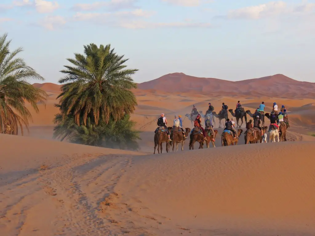 the sahara desert in morocco