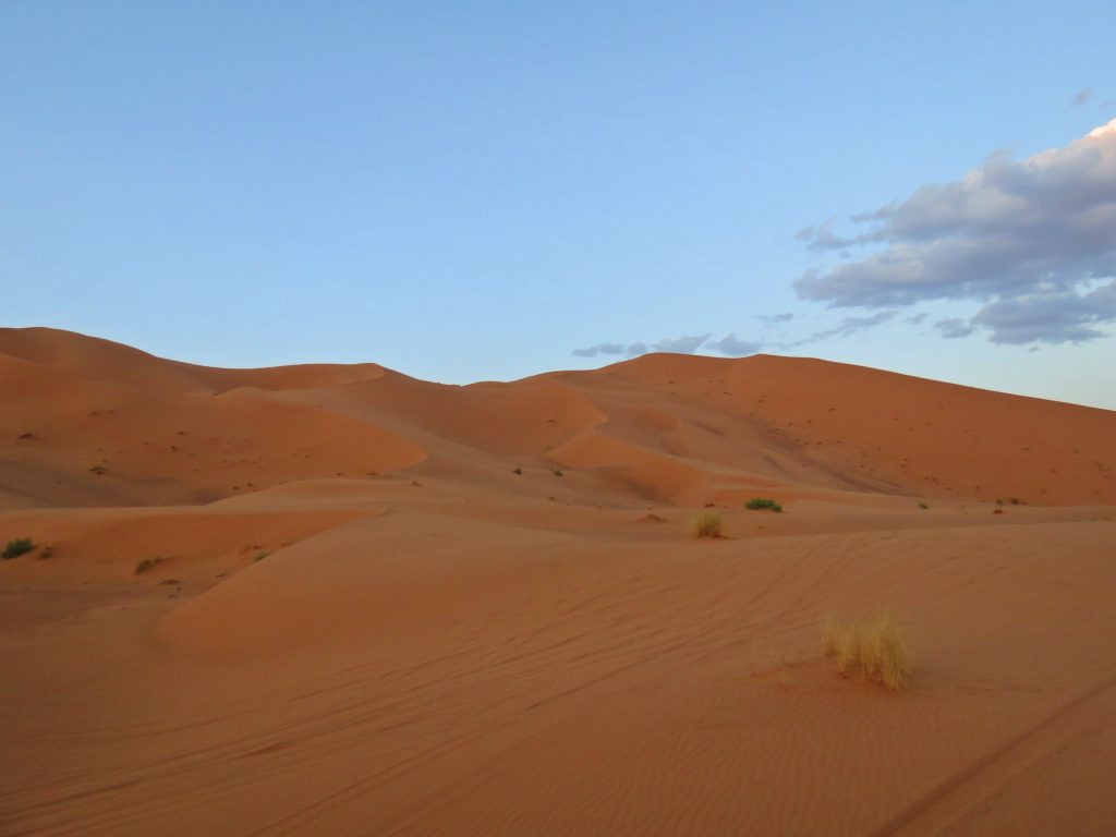 the sahara desert in morocco