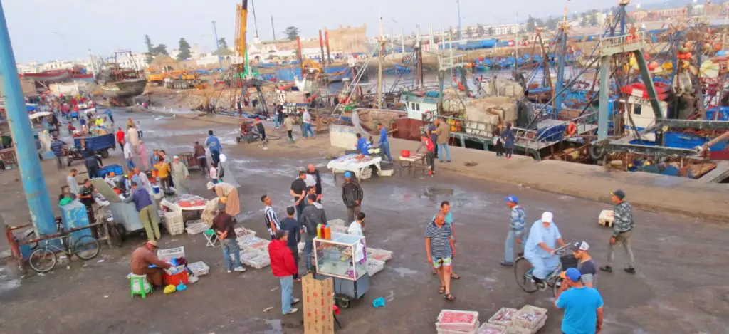 morocco-travel-tips-for-first-time-visitors-fish-market