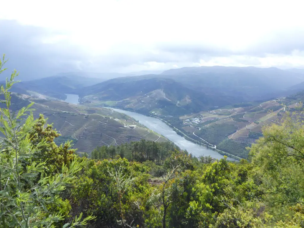 A visit to the Douro Valley is a must do in Portugal