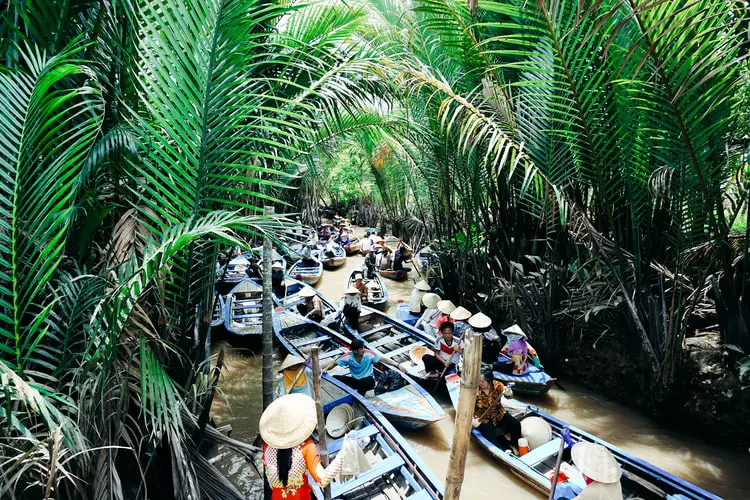 Exploring the Mekong Delta is one of the best things to do in Vietnam in January 