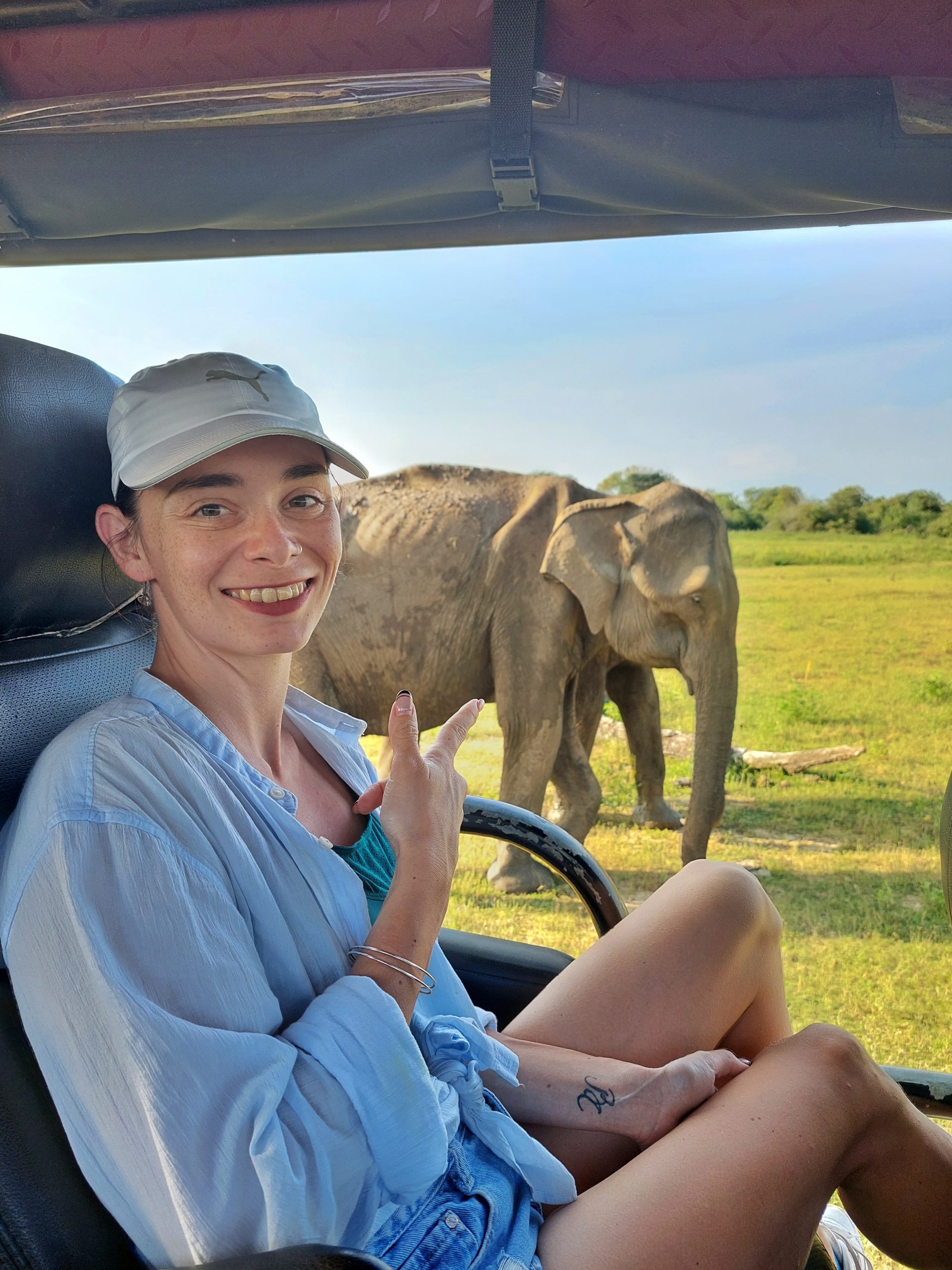 elephant safari in Udawalawe National Park